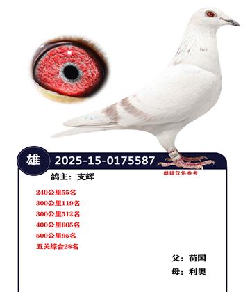 ����ۺ�28��