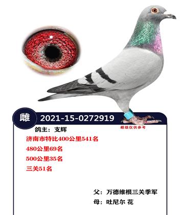 ����51��