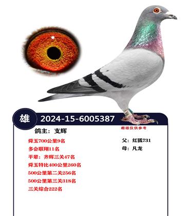 ˴��700����9�� �������11��