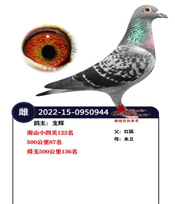 500����87��