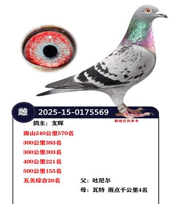 ����ۺ�26��