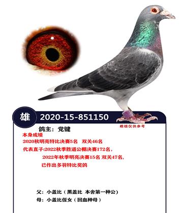 �����رȾ���5��