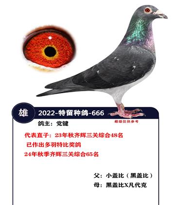 2022-˽��666   �����ָ�