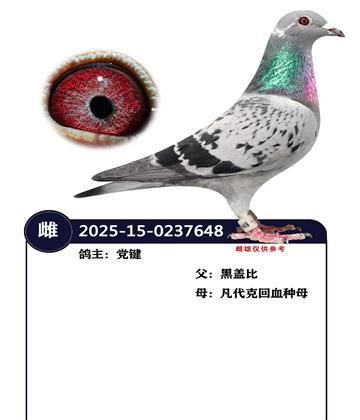 �����ָ�