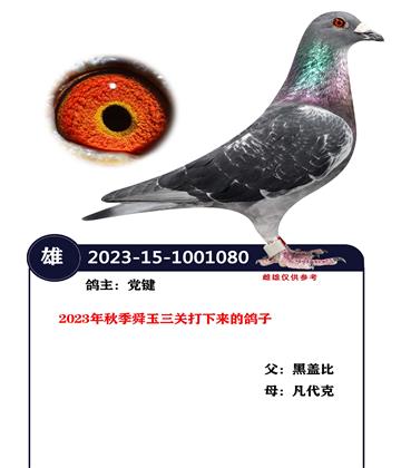 �����ָ�