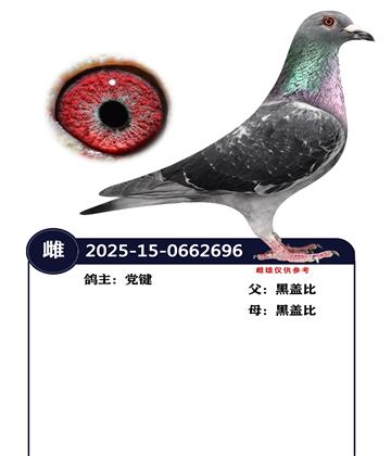 �����ָ�