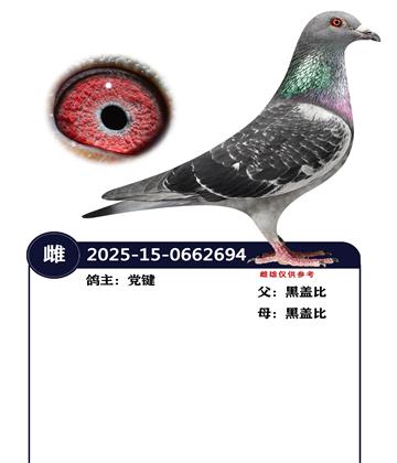 �����ָ�