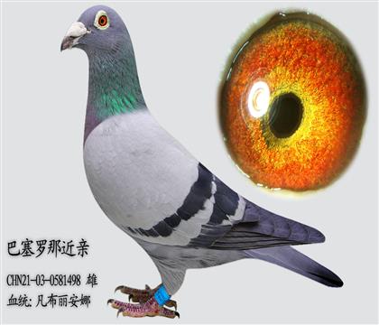 ���������� �������ǽ���