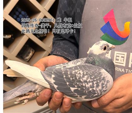 �ĺ�����-��ƽ:���ǲ���X��ū