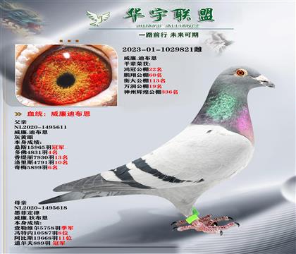 ��������� ī�ƶ���ֱ��Xī�ƶ���ֱŮ