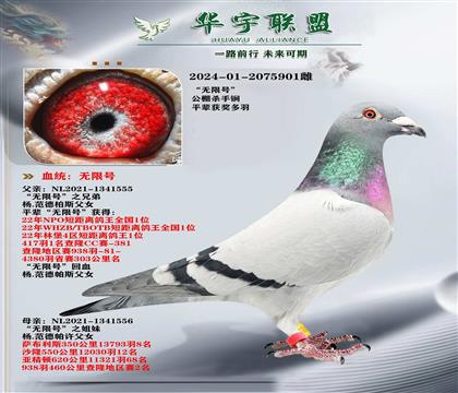 ��������� ľ�Ǻ�ֱ��Ů ���޺�֮�ֵ�X ���޺�֮����