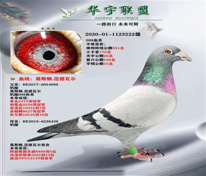 ������ ���� 098�����