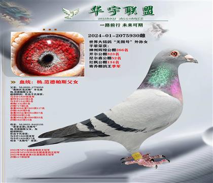 �� ������˹ ������ ���޺�����Ů