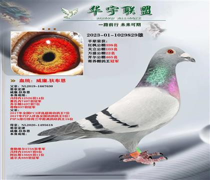 ��������� ī�ƶ���ֱ��Xī�ƶ���ֱŮ