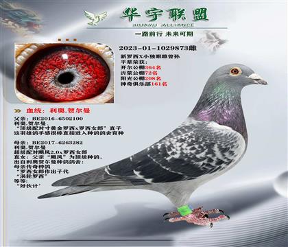 ���� ���������۴������ ������ķ