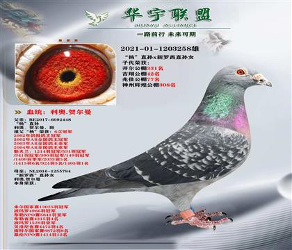 �����ָ� ���¸�����ֱ��X���������۴�ֱ��Ů