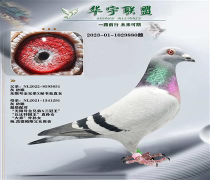 ���������� �����ϲ��� ���鴦X����ϵ