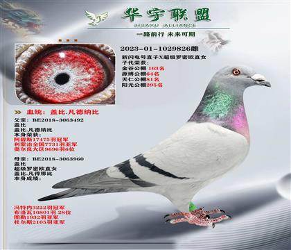 �Ǳ� �������ֱ��X��������ŷֱŮ ��ǿ��Ѫ