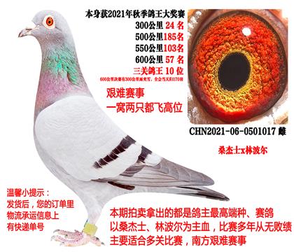 ɣ��ʿx�ֲ���������10λ��