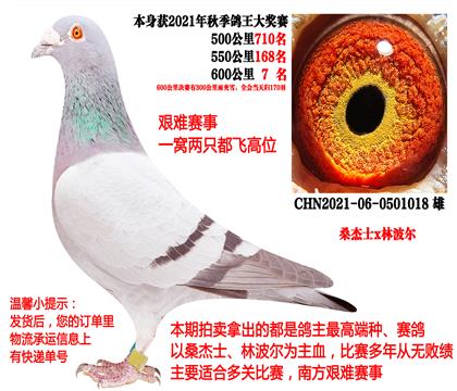 ɣ��ʿx�ֲ�����600�������ѩ7����