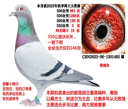 �ֲ�����550����5�����Ĺظ���19λ��