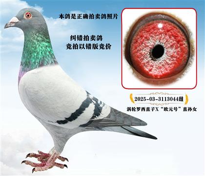 ע�⣺����Ƭ������������������ȷ��������Ƭ�����Դ��澺��