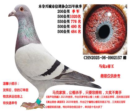 马克·罗森斯x帝王(本身25年秋季200公里季军,四关成绩)