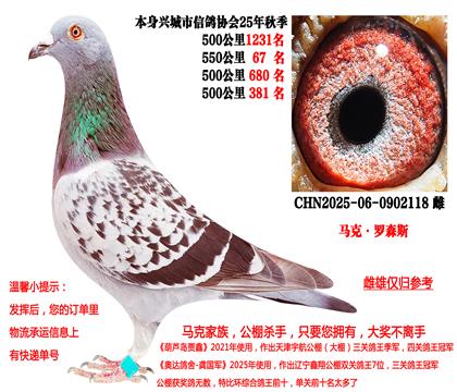 马克·罗森斯(25年秋季四关成绩鸽)