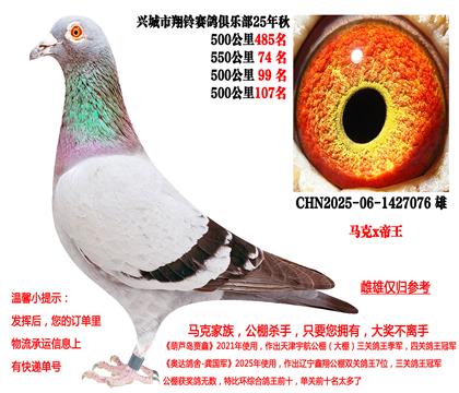 马克x帝王(本身25年秋季四关成绩鸽)