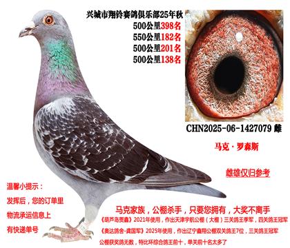 马克·罗森斯(本身25年秋季四关成绩鸽)