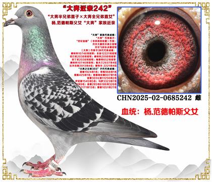 (�ص��Ƽ�����.������˹���󱼰��ֵ�ֱ�ӡ���ȫ�ֵ�ֱŮ��