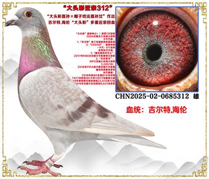 ������.���ס���ͷ��ֱ���ñ��Ϸ��ֱ��Ů������