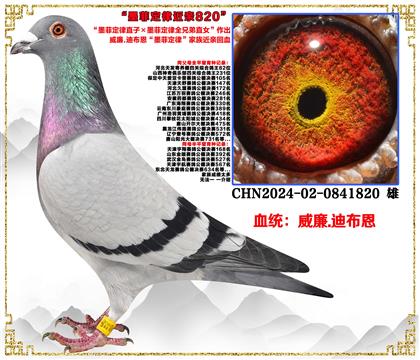 ���ص��Ƽ�������.�ϲ�����ī�ƶ���ֱ�ӡ�ī�ƶ���ȫ�ֵ�ֱŮ��