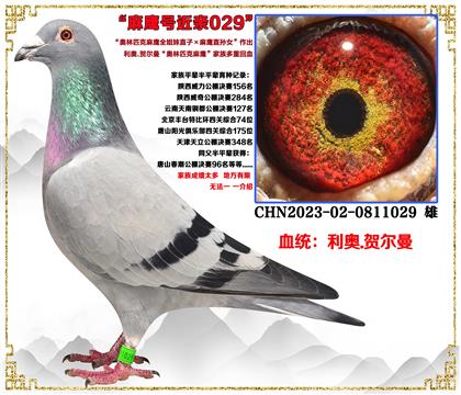 ���¡�����ƥ����ӥȫ����ֱ��X��ӥֱ��Ů����������