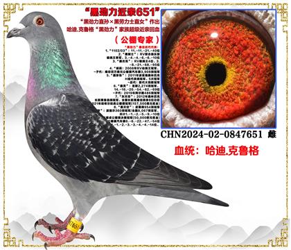 ����.��³�񡰺ھ���ֱ���������ʿֱŮ������