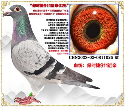 ����ʱ��911ֱ��X��ʱ��911ֱ��Ů����������