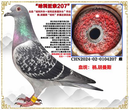 ��.����˹���������������������Ů��������Ѫ