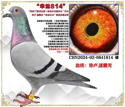 ��¬.�ٰ�����֪��17��Խ���X����848ֱ��Ů�����׻�Ѫ