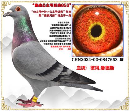 �˵�.����˹��ղɭ����������������Ž��ס�����