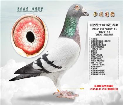 ����240����Ӵ����﷢�Ӷ���