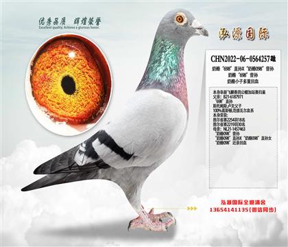 ���ҡ�698��ֱ��X������098������