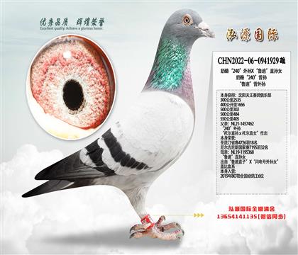 ���ҡ�240������X��³�ϡ�ֱ��Ů