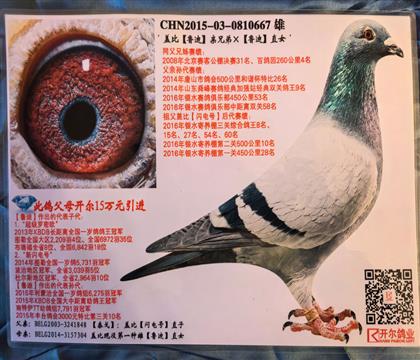 ����:�����ֱ��Ǳ�³�����ֵ�X³��ֱŮ667