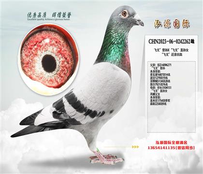 �����ɸ꣬���ɸꡱ����X���ɸꡱֱ��Ů