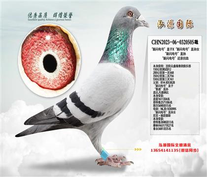 ��������š�ֱ��X��������š�ֱ��Ů