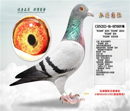 �ٰ�����������848��ֱ��X������848��ֱ��Ů