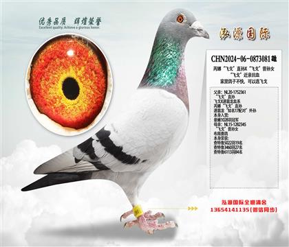 ���ȡ��ɸꡱֱ��X���ɸꡱ����Ů