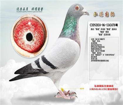 �Ǳȡ�³�ϡ�����X��³�ϡ�ֱ��Ů