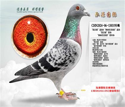 �������ֱ��X������ƥ��003��ֱ��