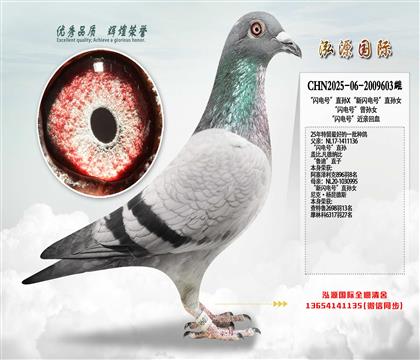 ������š�ֱ��X��������š�ֱ��Ů